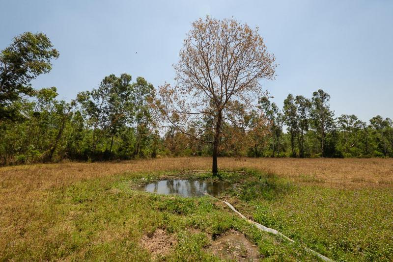 Upvan Wildlife Resort - Pura Stays Kalagarh Exterior foto